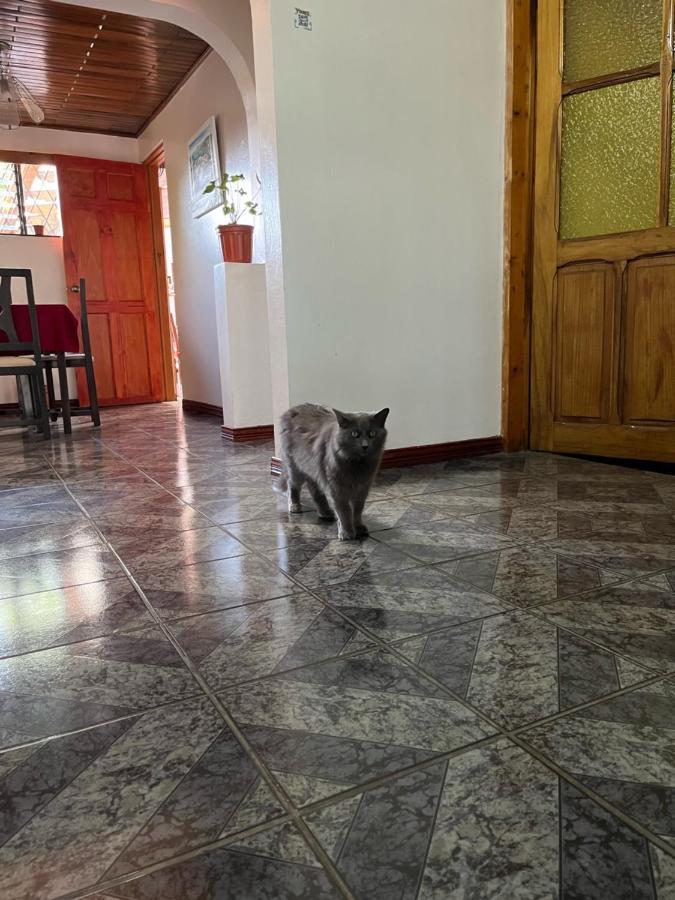 El Mochilero Apartment Cartago Bagian luar foto